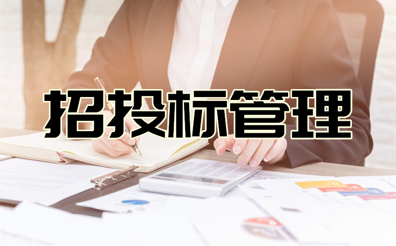 招投标辅导服务