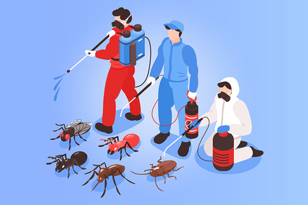有害生物防制资质办理：常见问题与解答！