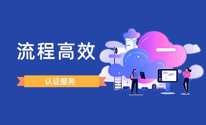 办理流程高效